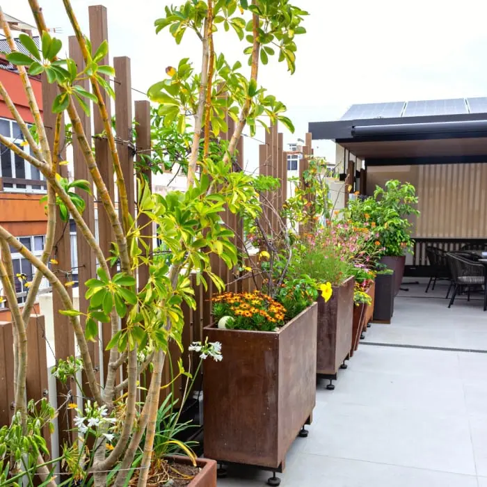 exteriores hotel catalina plaza hotel sostenible las palmas